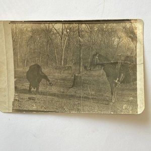 Vtg RPPC 1900s Post Card - Cowboy Felix James Roping a Calf OOAK Rare
